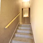 Zwirki Apartment