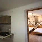 Apartment Zwirki